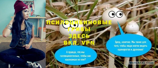 прущие крисы Дмитровск