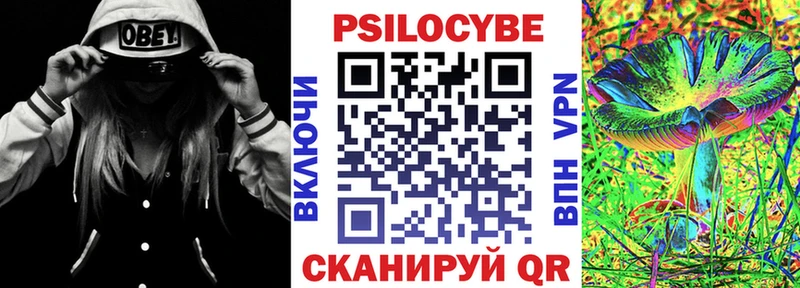 Купить закладки  Камбарка  Псилоцибиновые грибы Psilocybe 