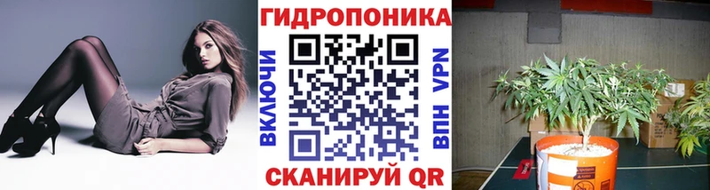 Купить Камбарка Конопля White Widow